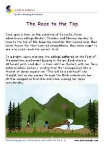 Grade 3 Reading Comprehension Worksheet with story order and grammar questions